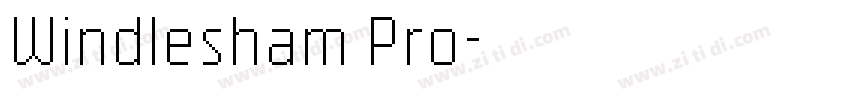 Windlesham Pro字体转换